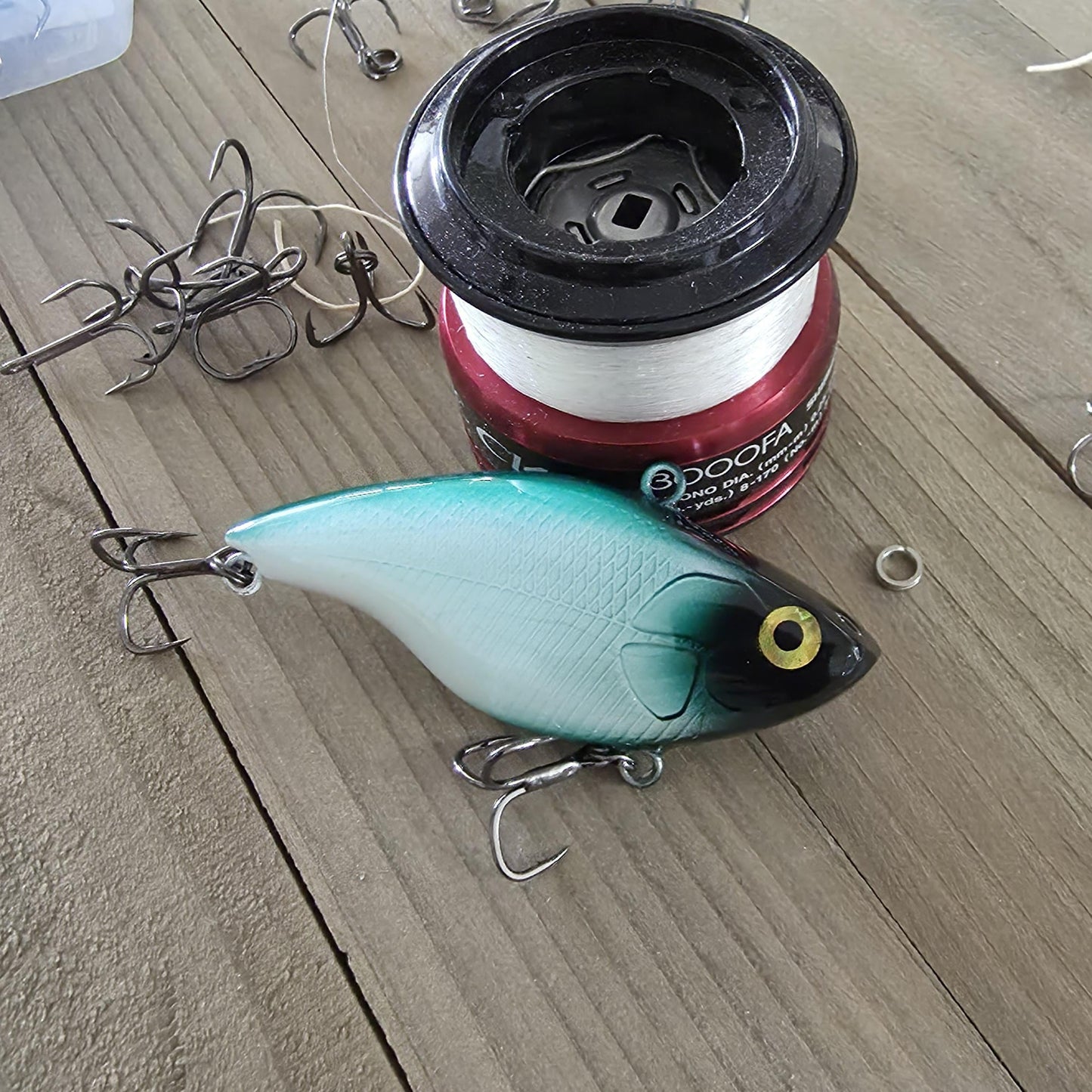 1 Year Sober Fishing Lure: Custom Sobriety Anniversary Gift