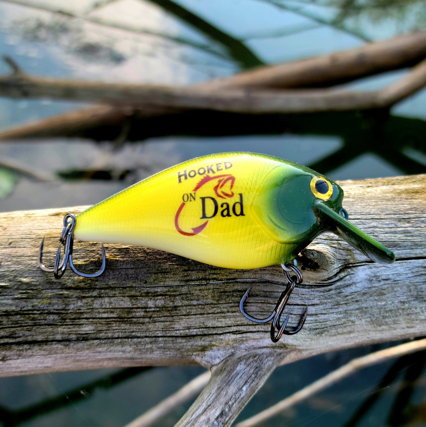 Personalized Fishing Lure: 'Hooked on Dad' Hand-Painted Gift